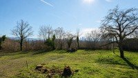 Bild (58baad6bcaa76d9c387b17236bf63ba5): Baugrundst�ck mit Weitsicht �ber Basel - seltene Gelegenheit in bester Lage von Weil am Rhein